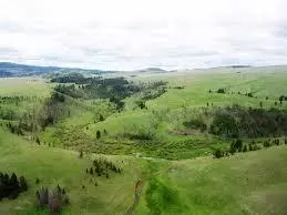 Photo of the Spotted Dog Wildlife Management Area